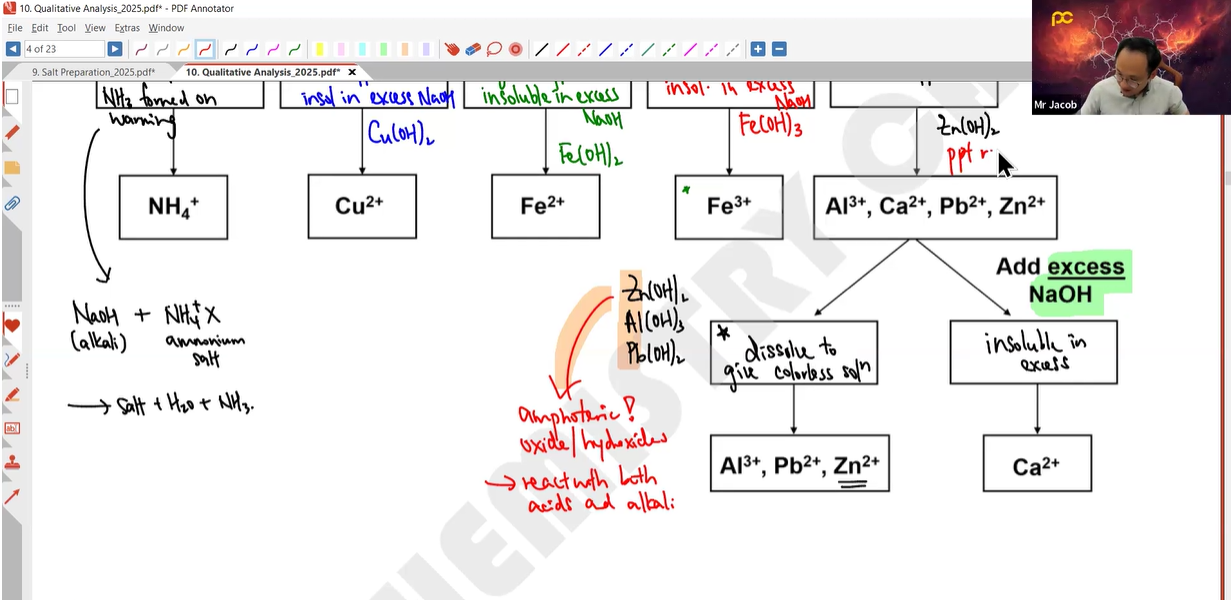 15a. March Holiday Additional Lesson - Qualitative Analysis [2025] - Mr JT
