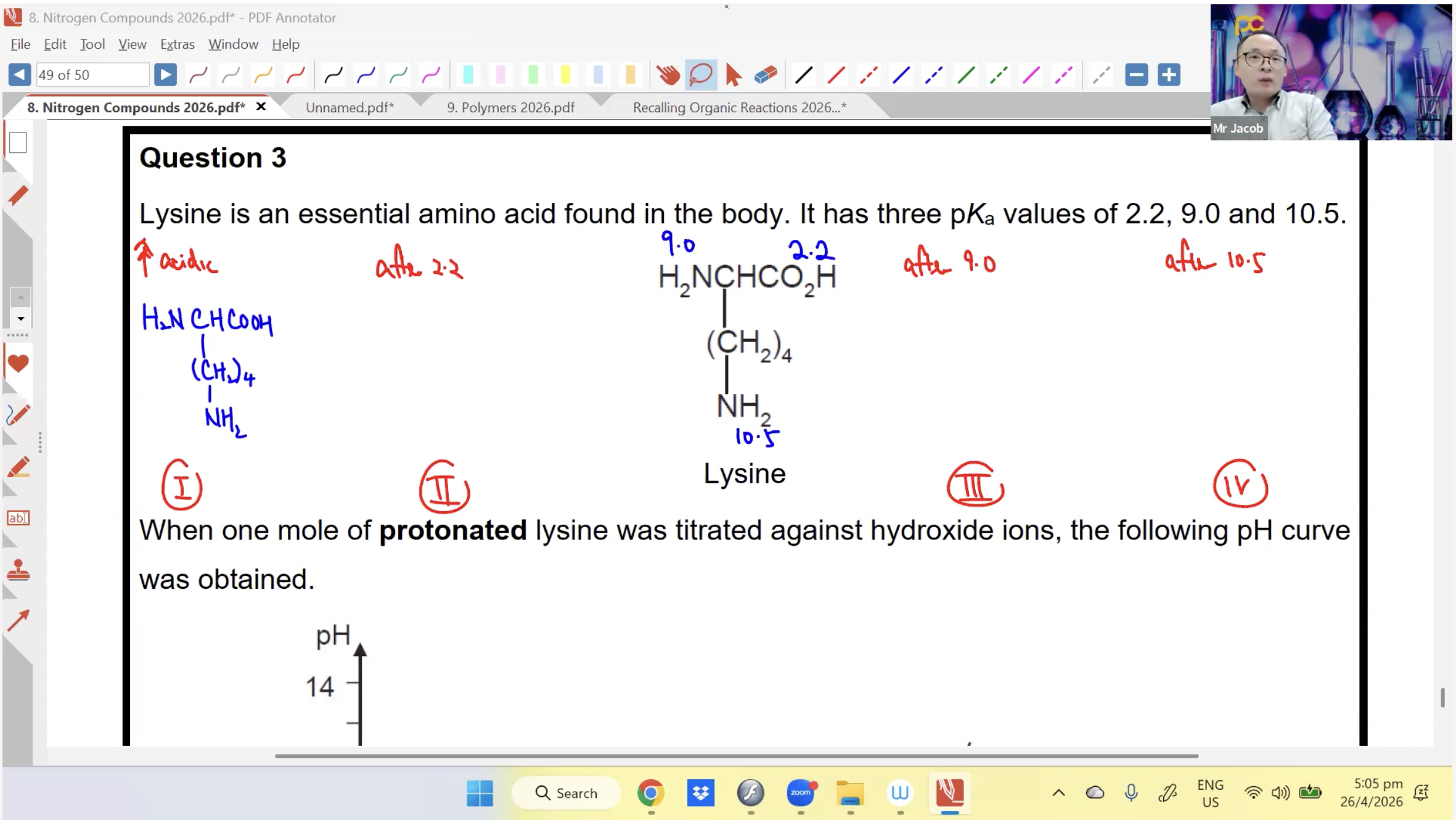 19. (NEW) Polymers L1 [2026] - Mr JT