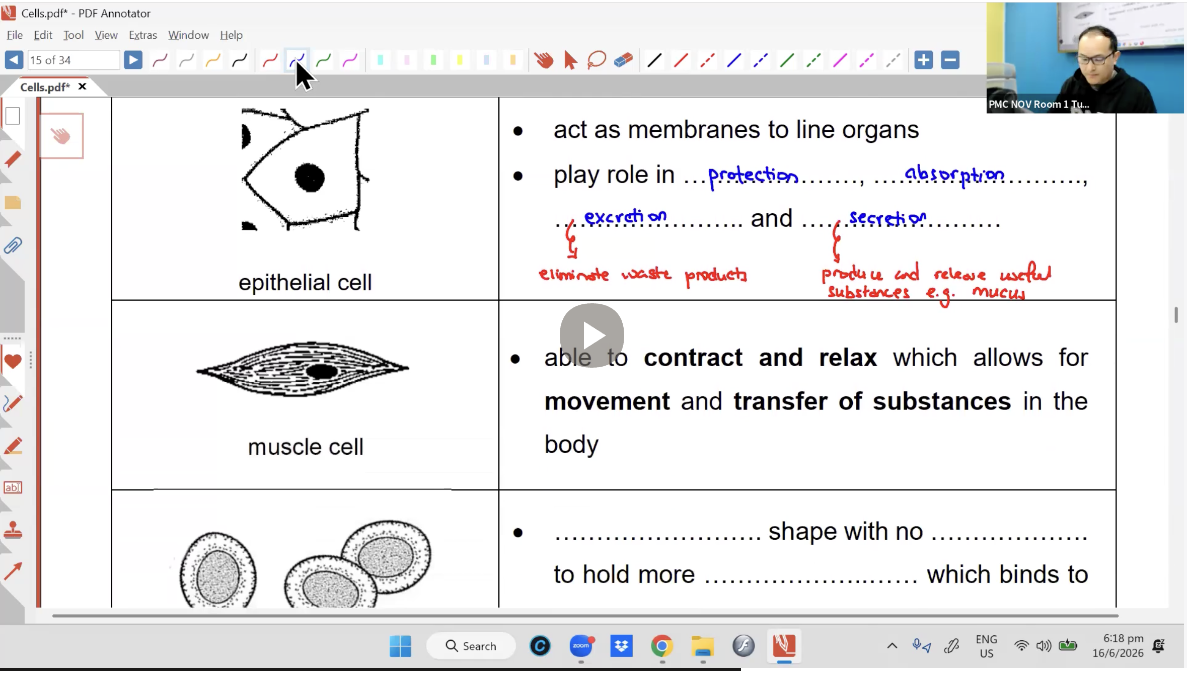 27a. Cells [June Holiday Additional lesson] [2026] - Mr AA
