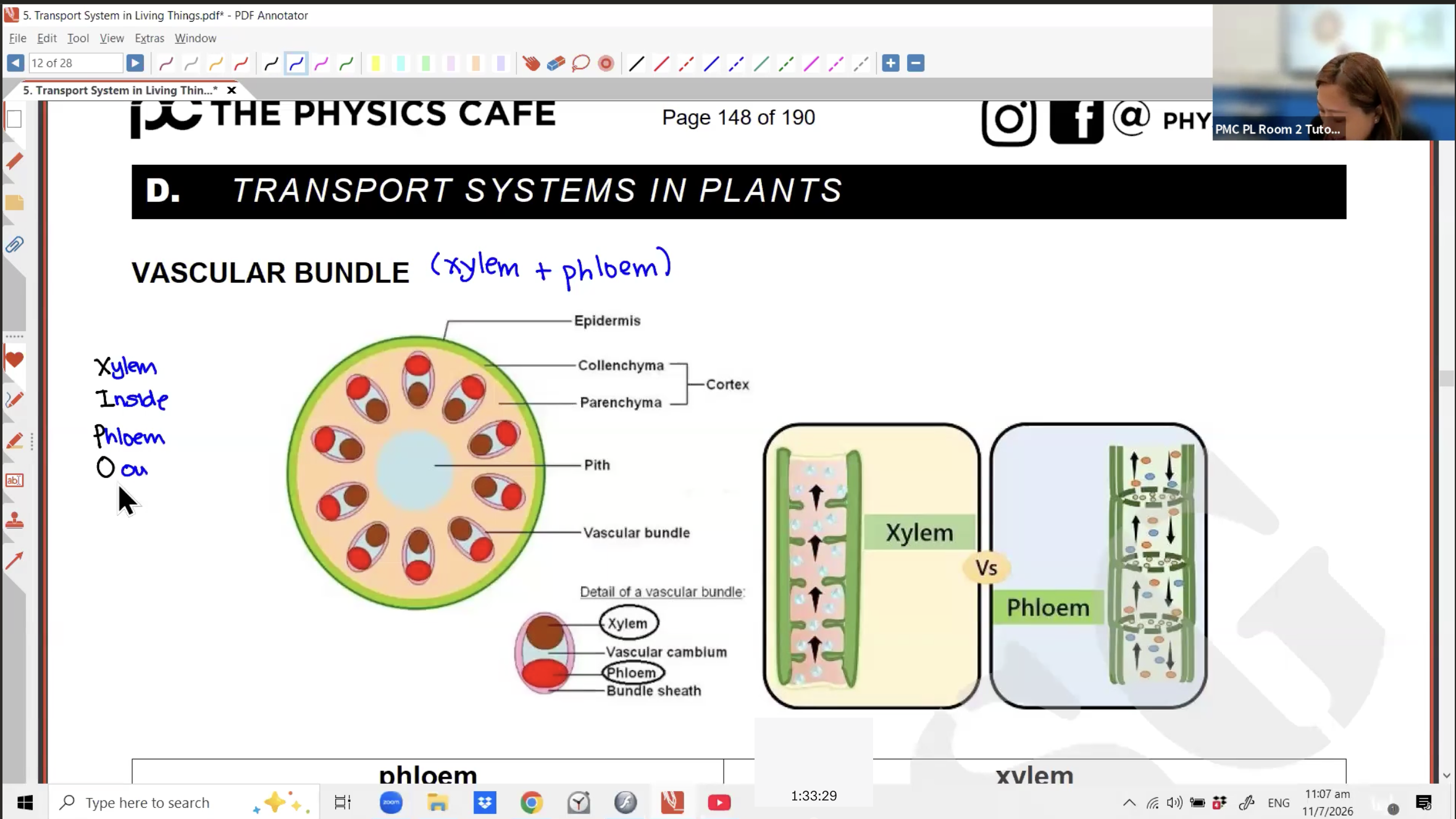 30. Transport Systems in Living Things [2026] - Ms JL