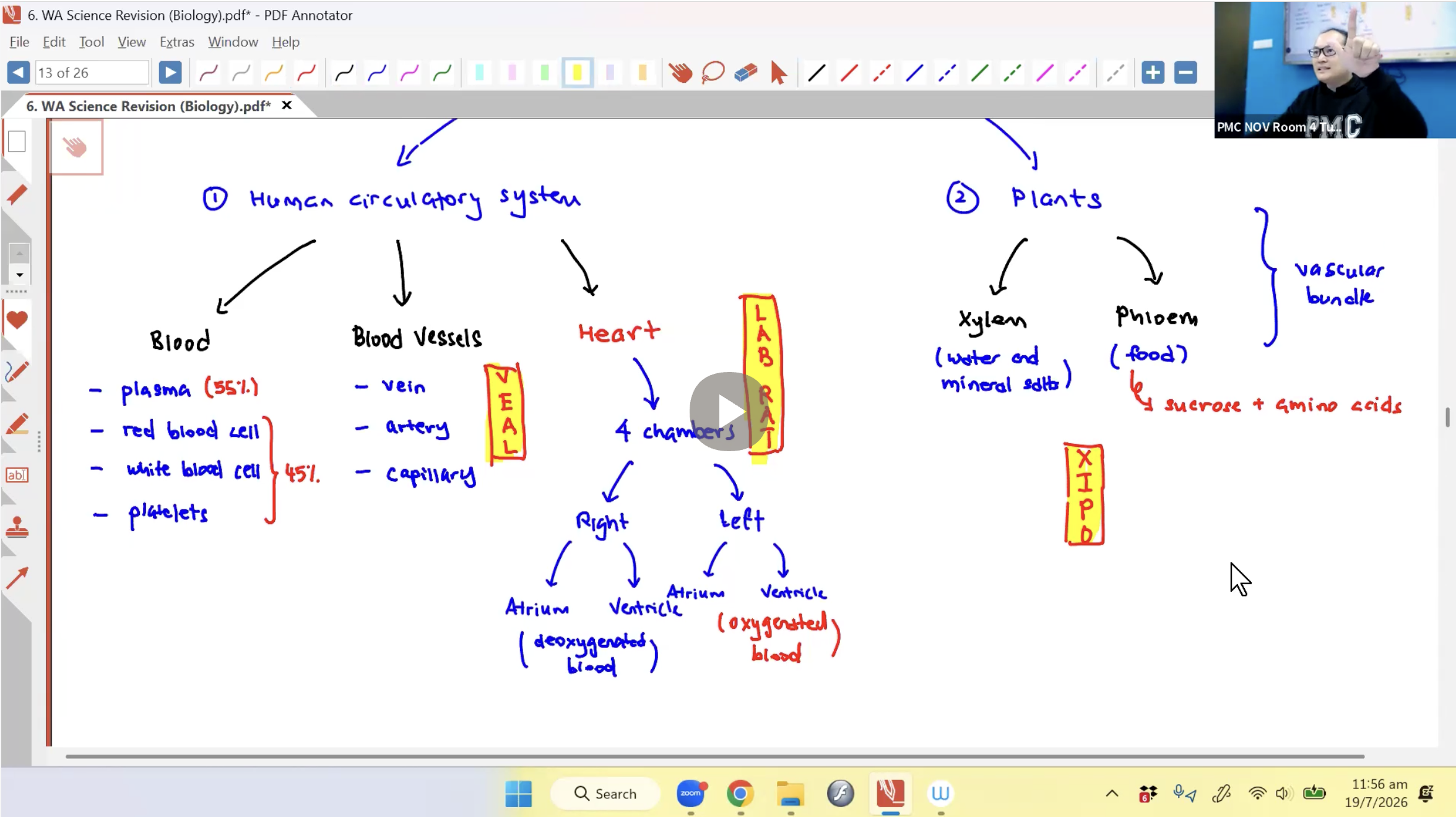 31. [BIO] WA Revision [2026] - Mr AA