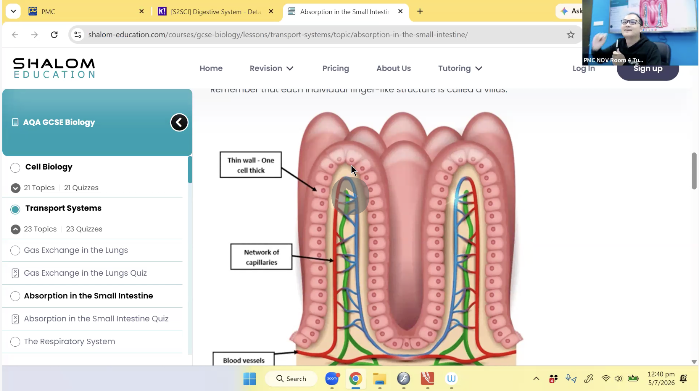 29. Human Digestive System [2026] - Mr AA