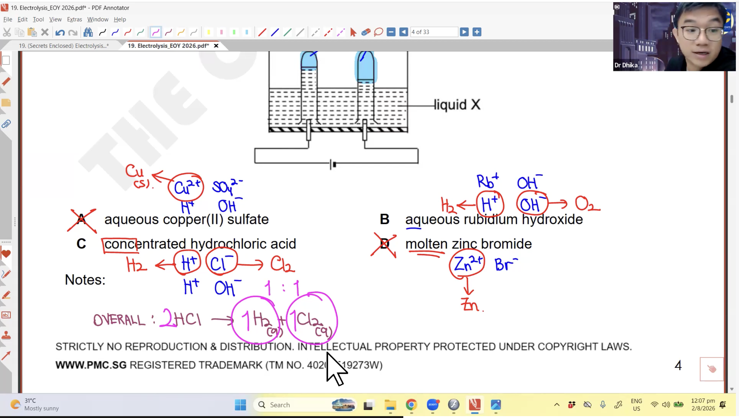 33. Electrolysis EOY L1 [2026] - Dr D