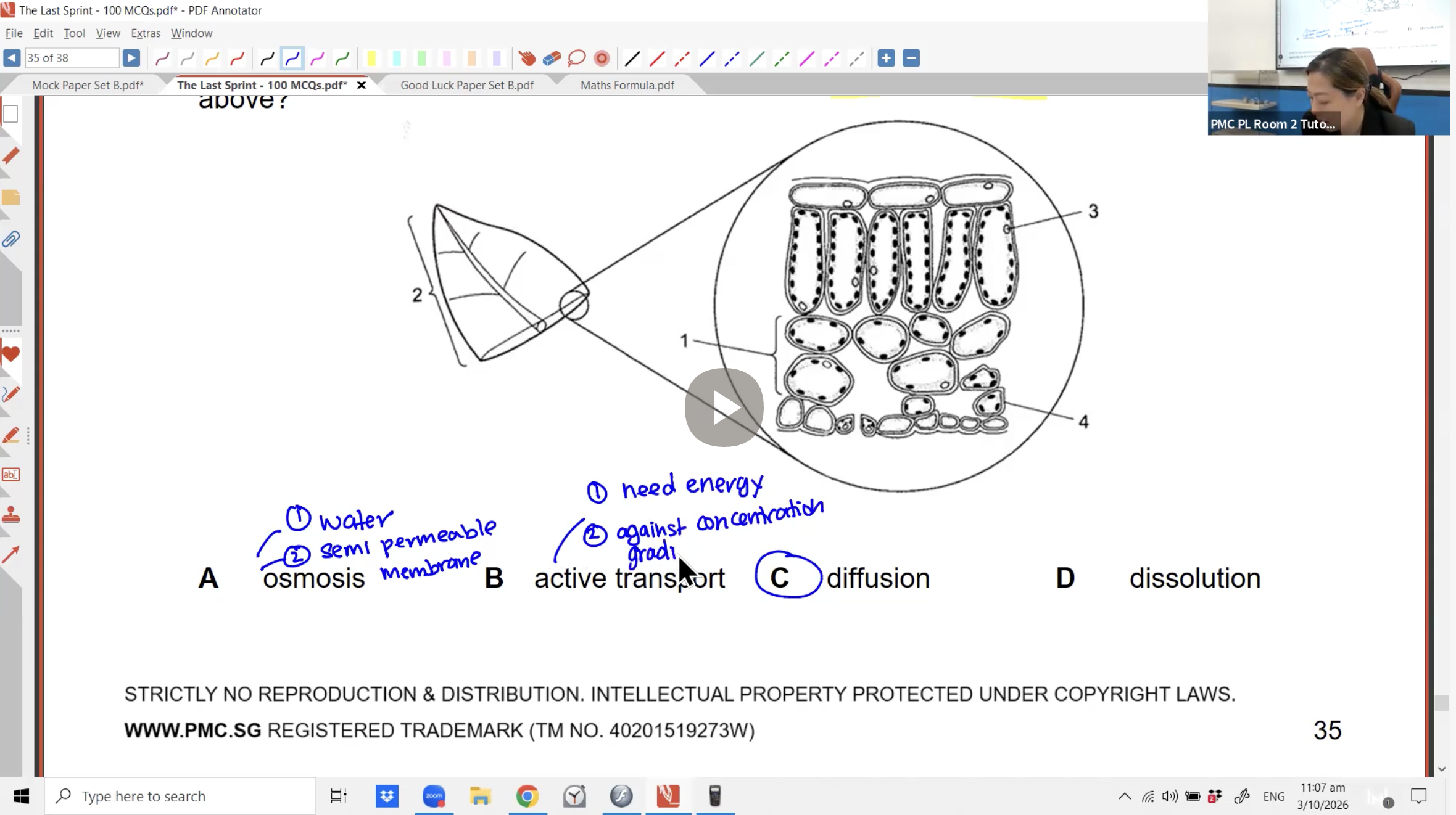 42. The Last Sprint Set B (MA+SCI) L1 [2026] - Ms JL